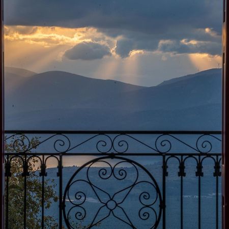 Delphian Colors - Blue Edition Εξωτερικό φωτογραφία